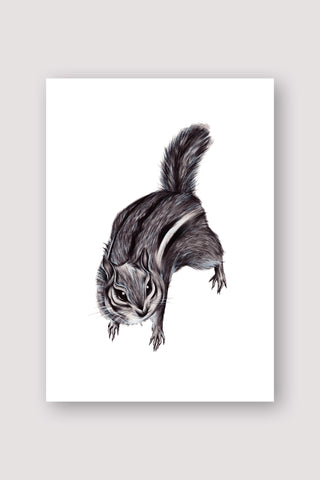 Chipmunk Print