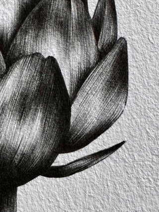 Artichoke Print