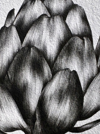 Artichoke Print
