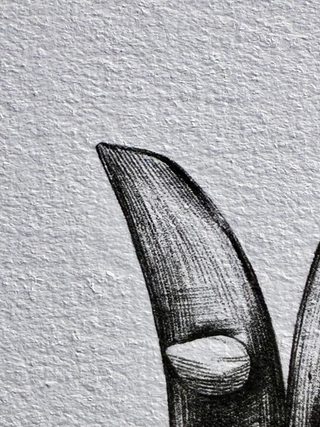 Pea Pod Print