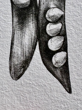 Pea Pod Print