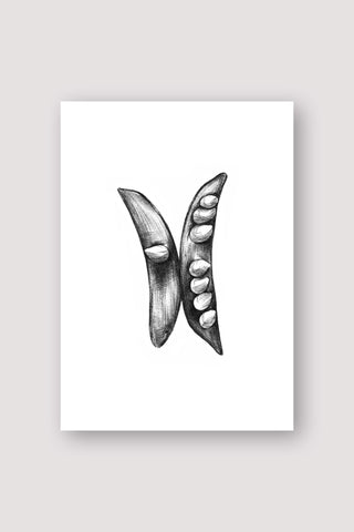 Pea Pod Print