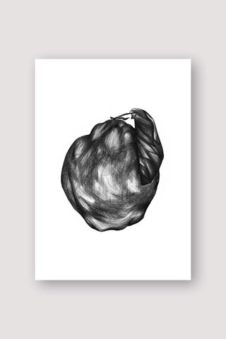 Quince Print