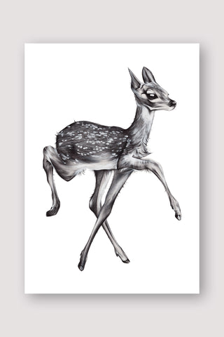White-tailed Fawn Print